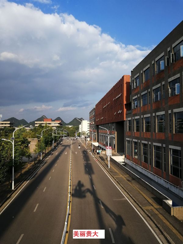 貴州某高校為本校區(qū)內(nèi)600多盞路燈更換LED燈頭及加裝太陽(yáng)能LORA調(diào)光控制模塊，達(dá)到了節(jié)能和智能控制的目的。
